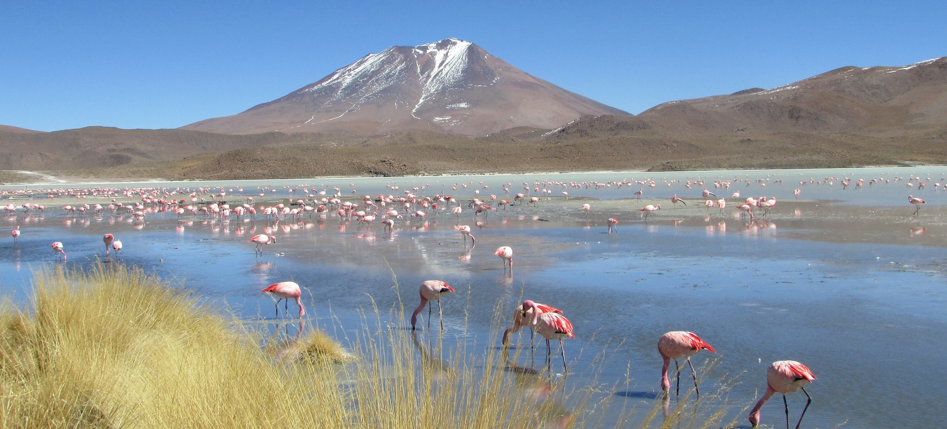 Paysages des Andes et le Désert du Sel