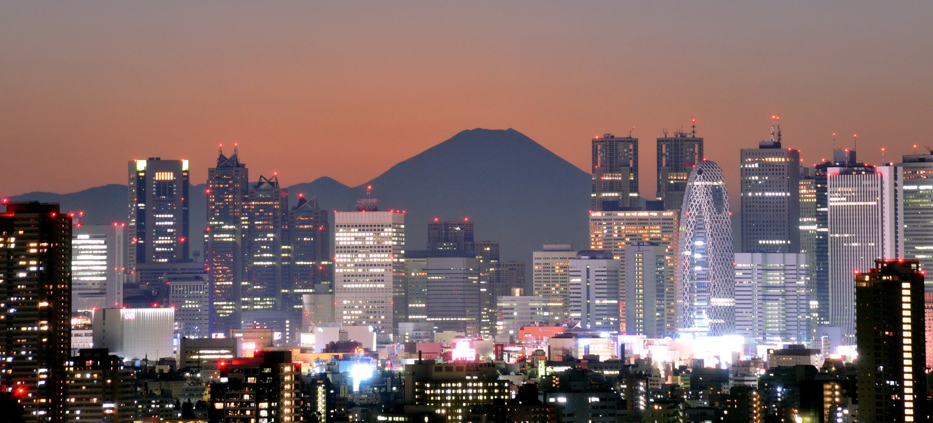 Vue panoramique sur Tokyo et Mont Fuji Yama