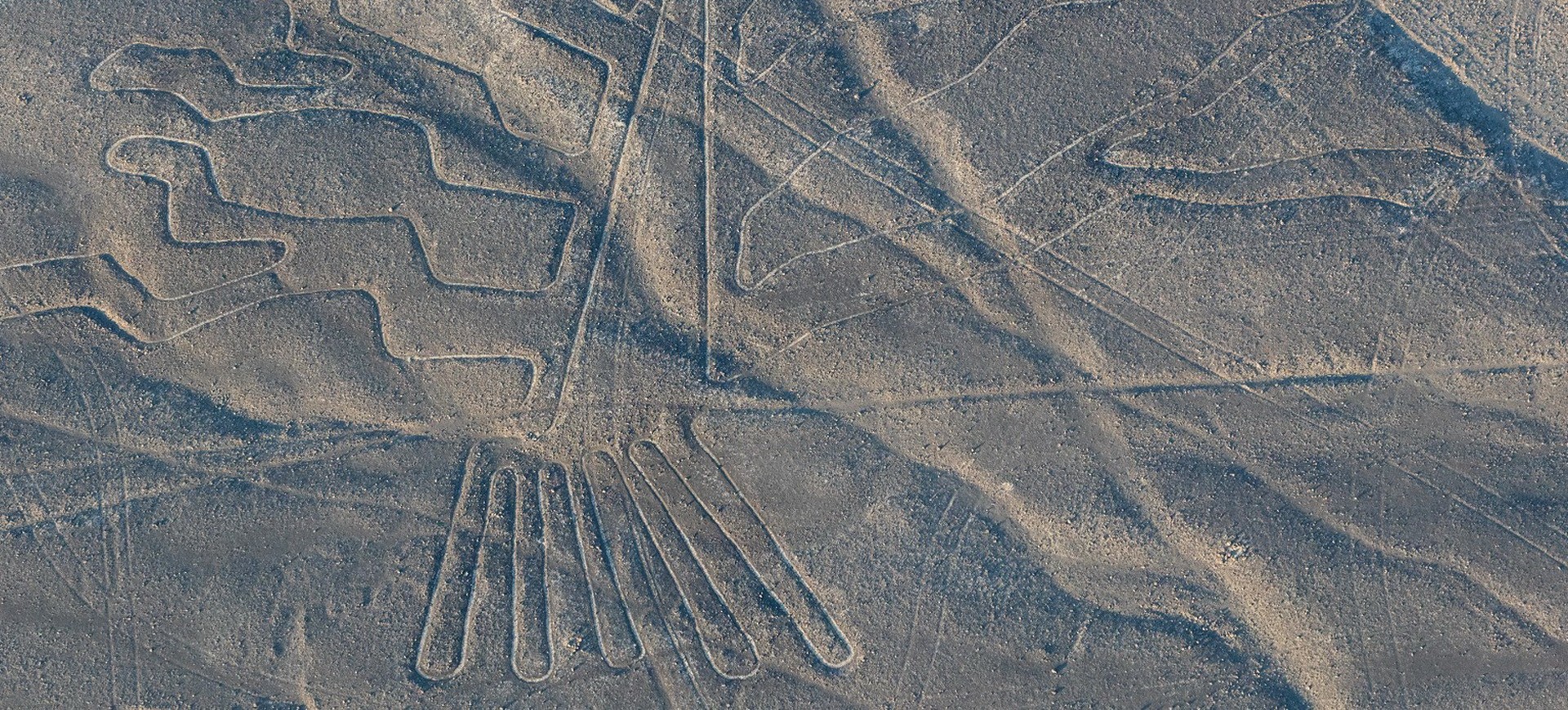 Perou Nazca lignes de Nazca